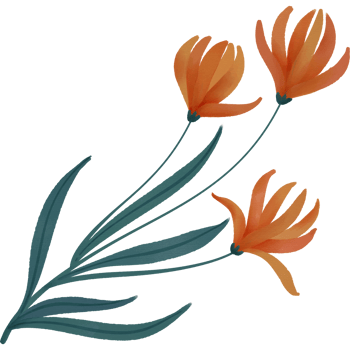 Spring and flowers png