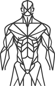 Geometric Representation of a Male Torso with Detailed Muscle Structure vector