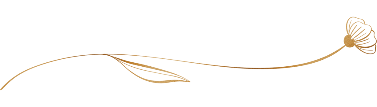 Glitter and gold line png