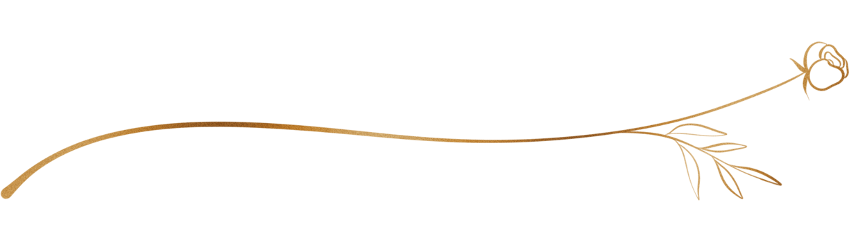 Glitter and gold line png