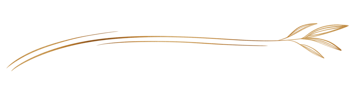 Glitter and gold line png