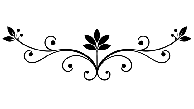 graphic with a black white elegant plant flower ornament png