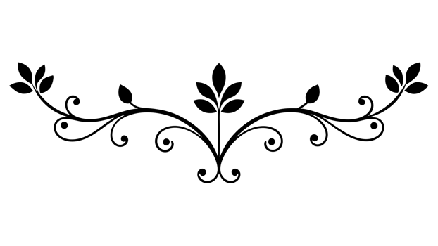 graphic with a black white elegant plant flower ornament png