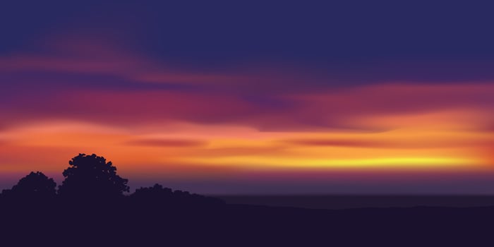 Twilight skyafter sunset with trees in silhouette vector