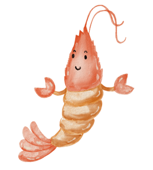 watercolor shrimp element design. png