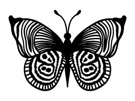 Single linear butterfly on a white background. Vintage style black vector