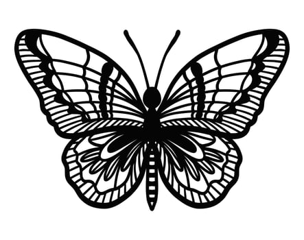 Single linear butterfly on a white background. Vintage style black vector