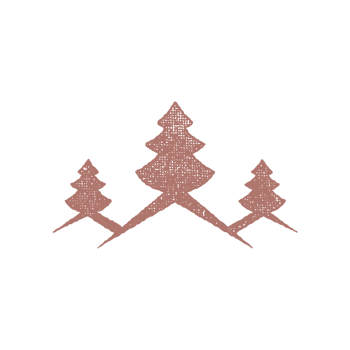 Spruce trees depicted isolated on white background hand drawn stamp effect vintage illustration png