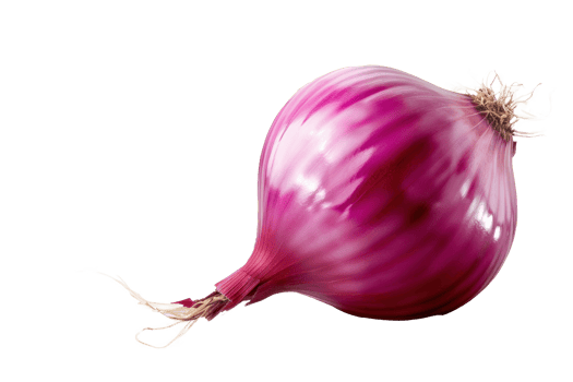 an onion on a transparent background png