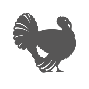 Turkey silhouette vintage hand drawn illustration farm bird graphics png