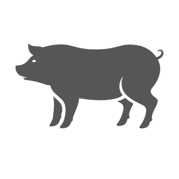 cPig silhouette vintage hand drawn illustration farm animal or butcher shop png