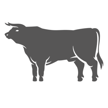 Bull silhouette vintage hand drawn illustration farm animal or butcher shop png