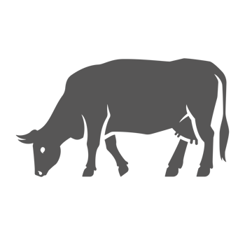 Cow silhouette vintage hand drawn illustration farm animal or butcher shop png