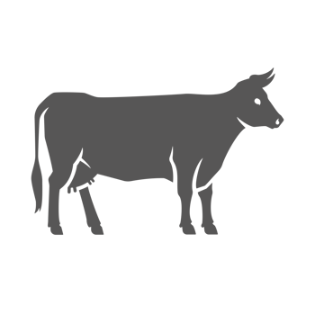Cow silhouette vintage hand drawn illustration farm animal or butcher shop png