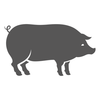 Pig silhouette vintage hand drawn illustration farm animal or butcher shop graphics png