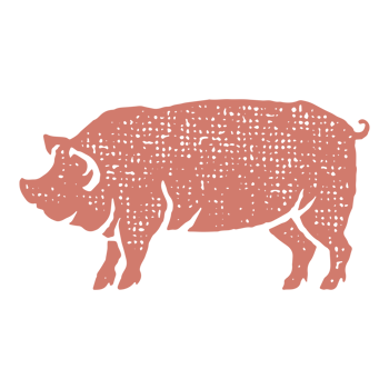 Pig silhouette hand drawn stamp effect illustration png