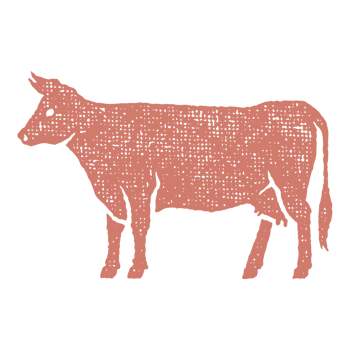 Cow silhouette hand drawn stamp effect illustration png