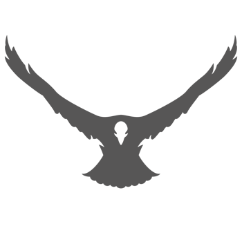 Eagle hand drawn silhouette illustration for vintage logo design png