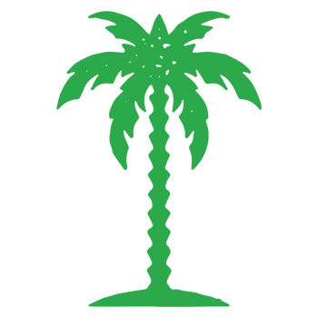 Hand drawn green palm tree with trunk and tropical leaves foliage summer travel vacation logo png