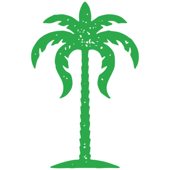 Green tropical palm tree with lush dense foliage hand drawn minimalist grunge texture png