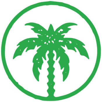 Green palm tree with ornamental trunk and lush foliage leaves in circle frame summer resort png
