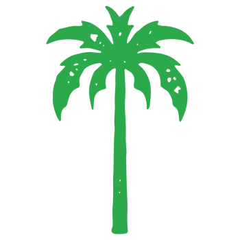 Green natural palm tree with ornamental lush foliage top and straight trunk grunge texture png