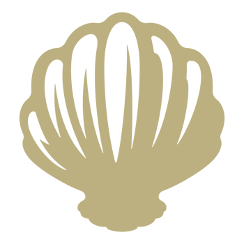 Shell hand drawn silhouette retro illustration png