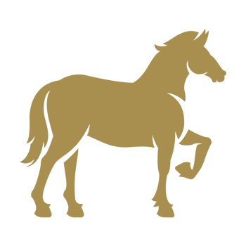 Horse silhouette hand drawn icon vintage illustration png