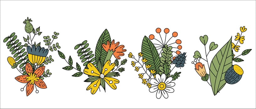 Colorful wildflower floral compositions vector