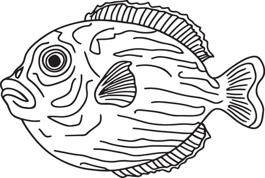 Line Artwork of Duffer fish vector
