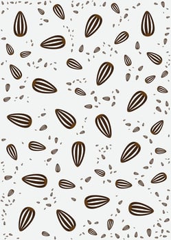 Flaxseed. Healthy unpeeled seeds on white backgrond. vector