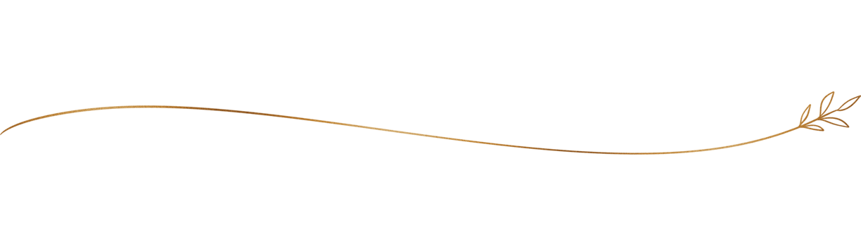 Glitter and gold line png