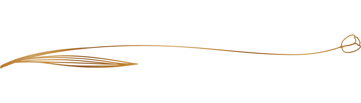 Glitter and gold line png