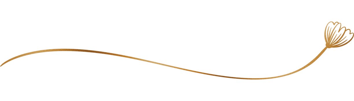 Glitter and gold line png
