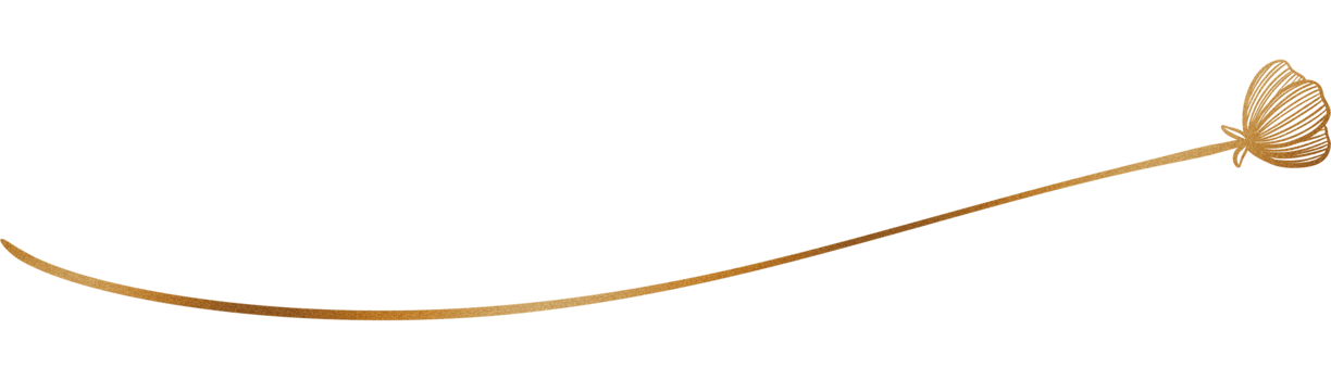 Glitter and gold line png