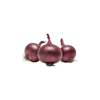 three onions on a transparent background png