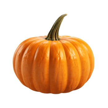 3d Orange Pumpkin isolated on transparent background png