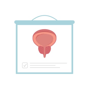 Human organ male prostate infographic, cartoon illustration icon for medical and healthcare and wellness vector