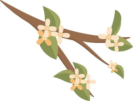White osmanthus, pomelo flowers, flowers for mid-autumn festival, illustration in cartoon style vector