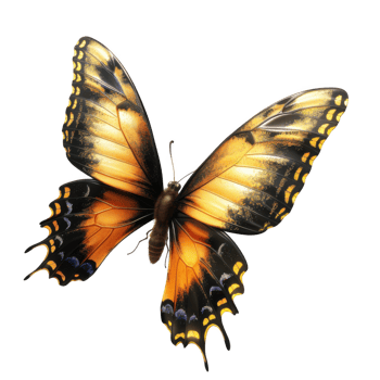 A beautiful butterfly with intricate patterns and vibrant colors Its wings are spread wide showcasing its delicate beauty png