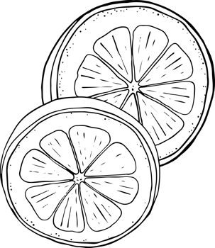 Lemon fresh juice mint summer hand drawn scribble doodle line art sketch illustration png
