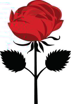 red rose isolated on white, red rose , red rose , colorful rose, rose illustration vector