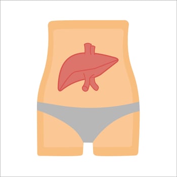 The liver organ of a healthy human body. Human health. A properly functioning liver system. vector