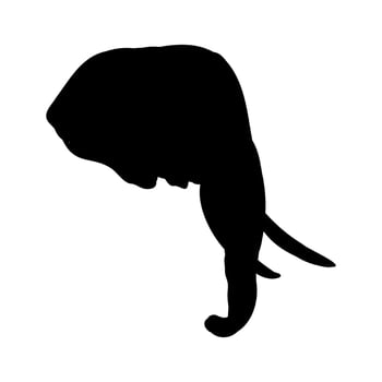 African elephant sketch vector