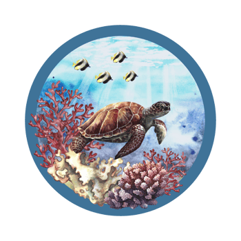 Sea turtle and corals. The underwater world in a circular composition. A hand-drawn watercolor illustration. For prints, stickers, postcards and magnets. png
