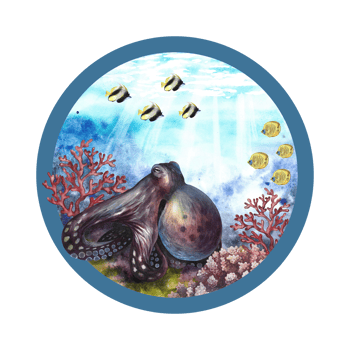 An octopus at the bottom of the sea. The underwater world in a circular composition. A hand-drawn watercolor illustration. For prints, stickers, postcards and magnets. png