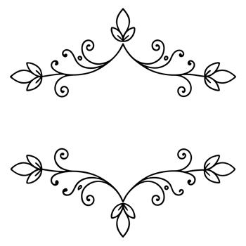 graphic with a black white elegant plant flower ornament png