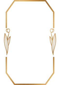 Frame decorative ornament png