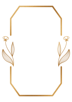 Frame decorative ornament png