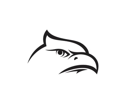 Falcon eagle head icon logo . Eagle bird predator wildlife logo illustration vector